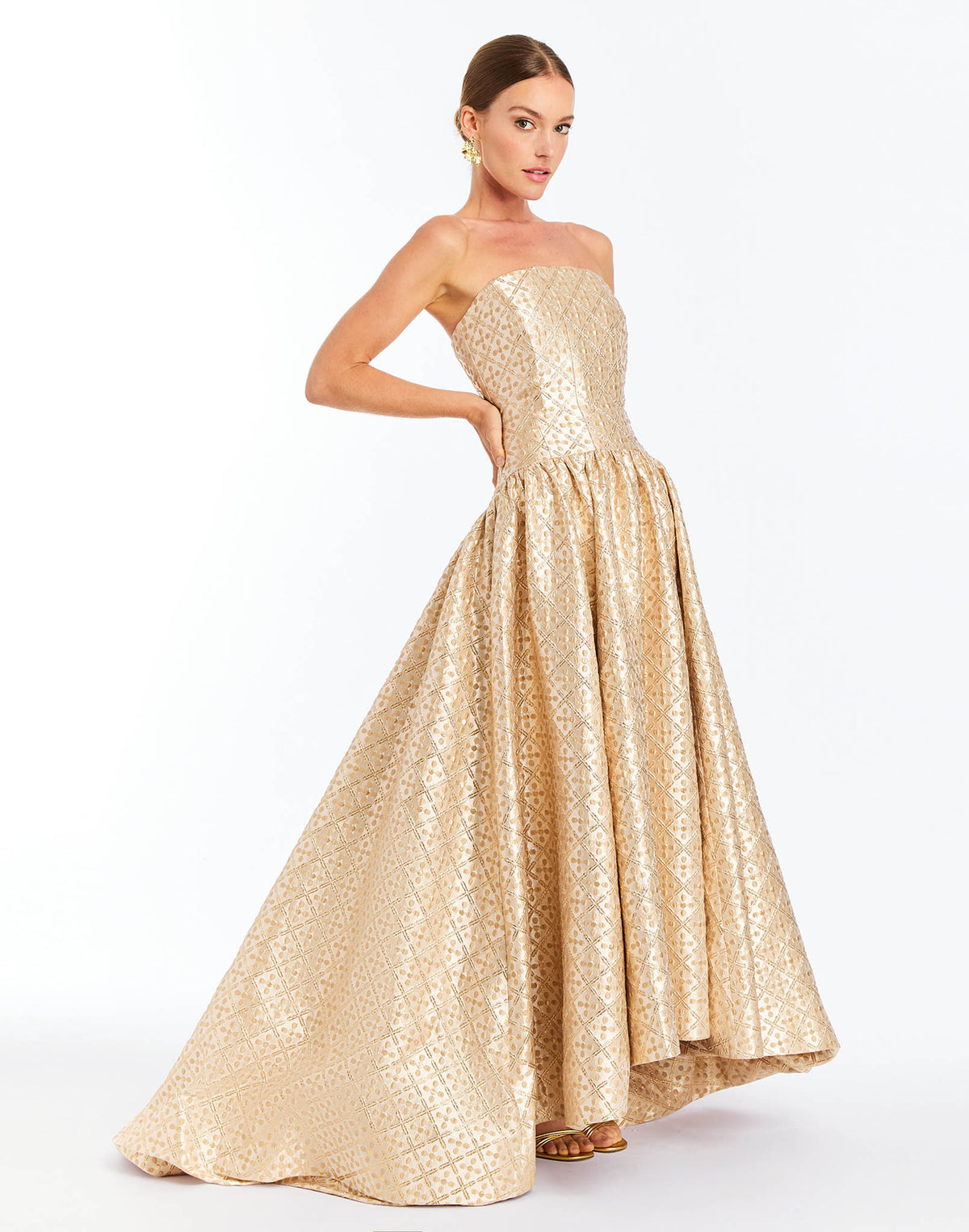 Nereida Dropwaist Gown in Golden Tile