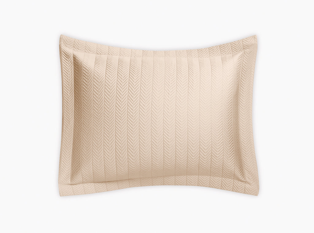 Netto Collection