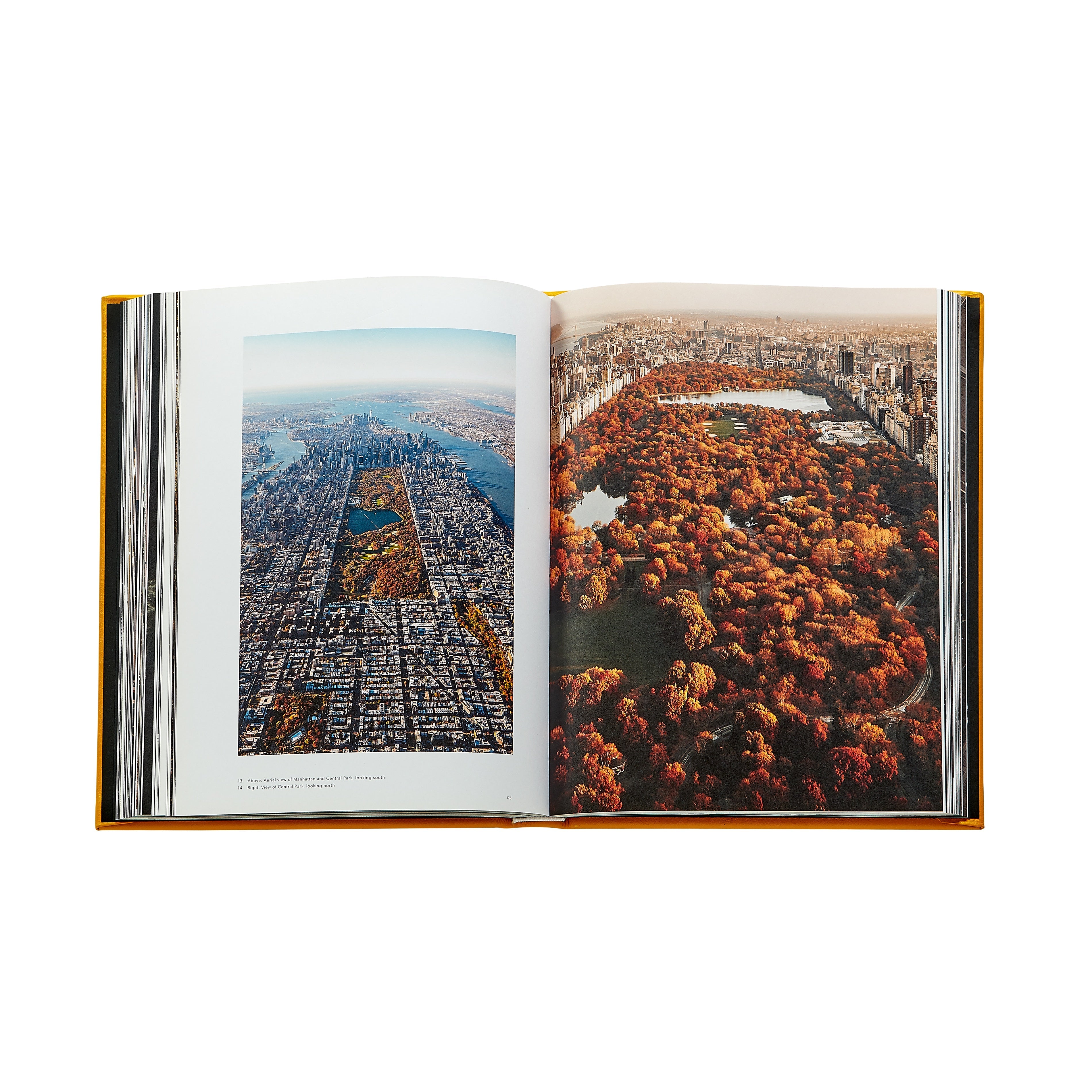 Trope New York in Yellow