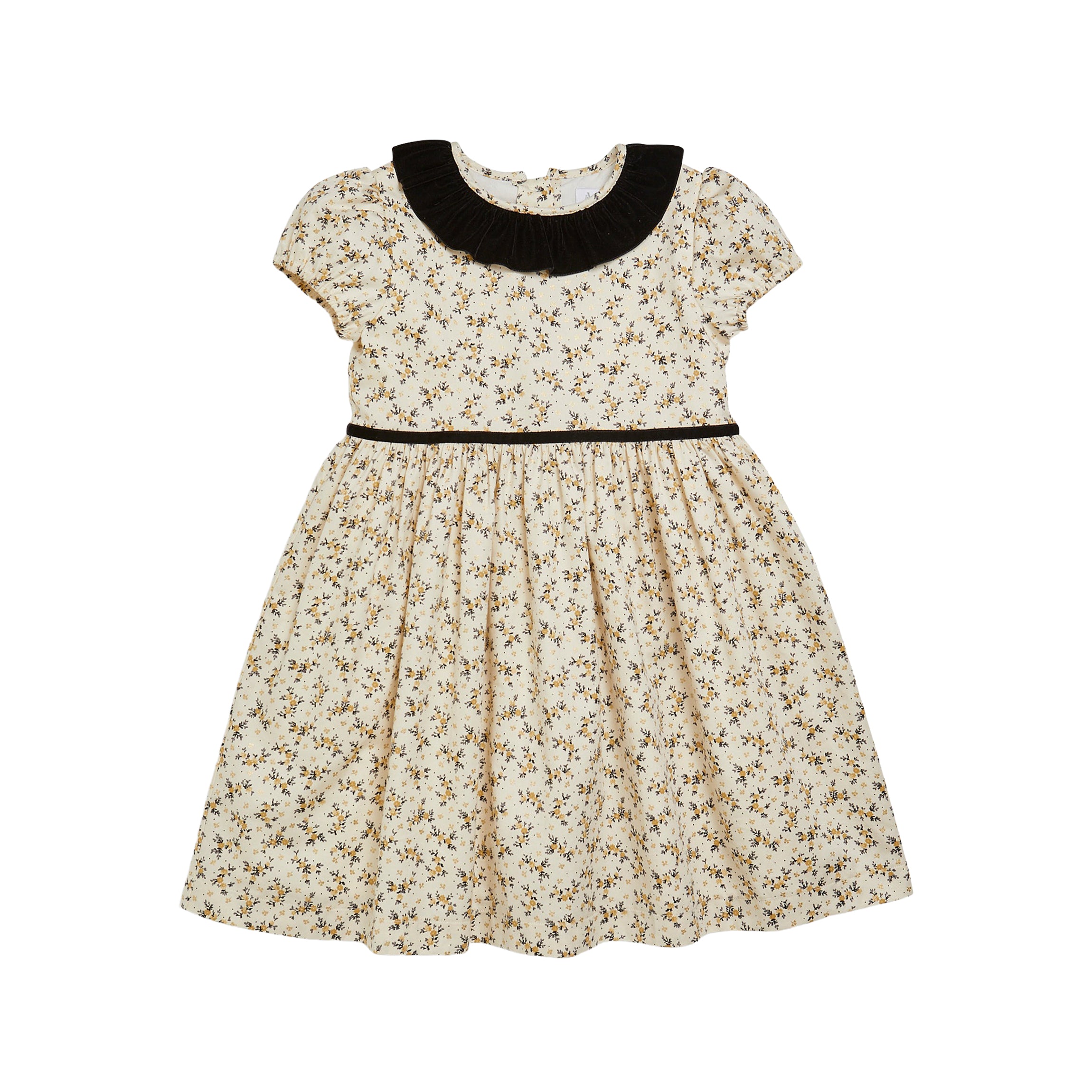 Raisin Dress in Black/Gold Floral
