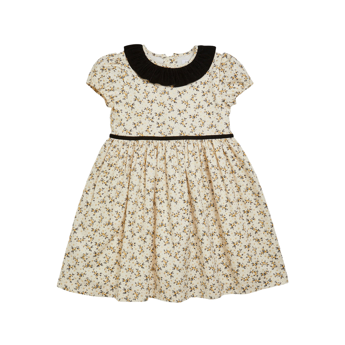Raisin Dress in Black/Gold Floral