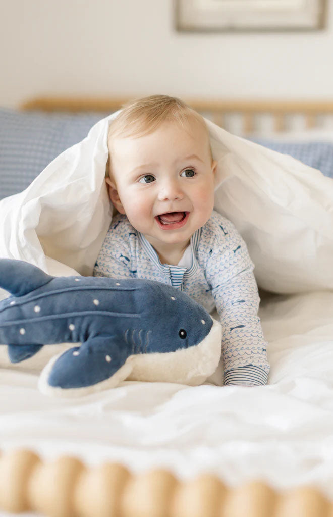 Baby crawling on a bed under a white blanket wearing a blue Baby Sharks zip onesie and holding a plush shark