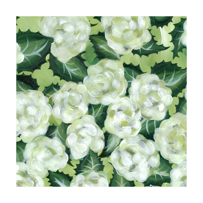 Original Limelight Hydrangeas