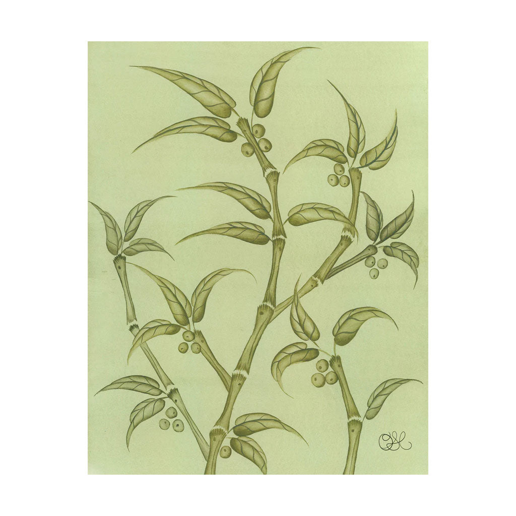 Bamboo En Fleur Original