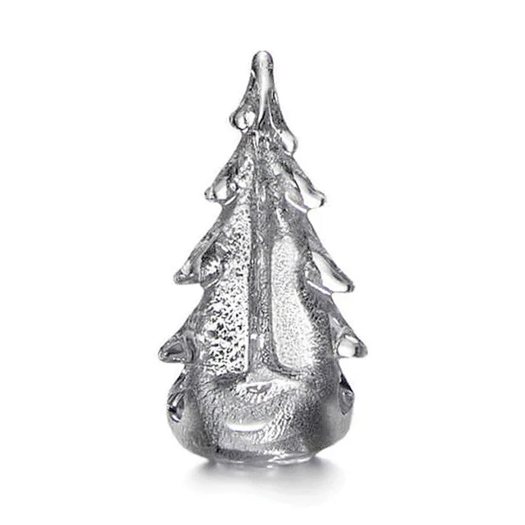 Silver Leaf Evergreen