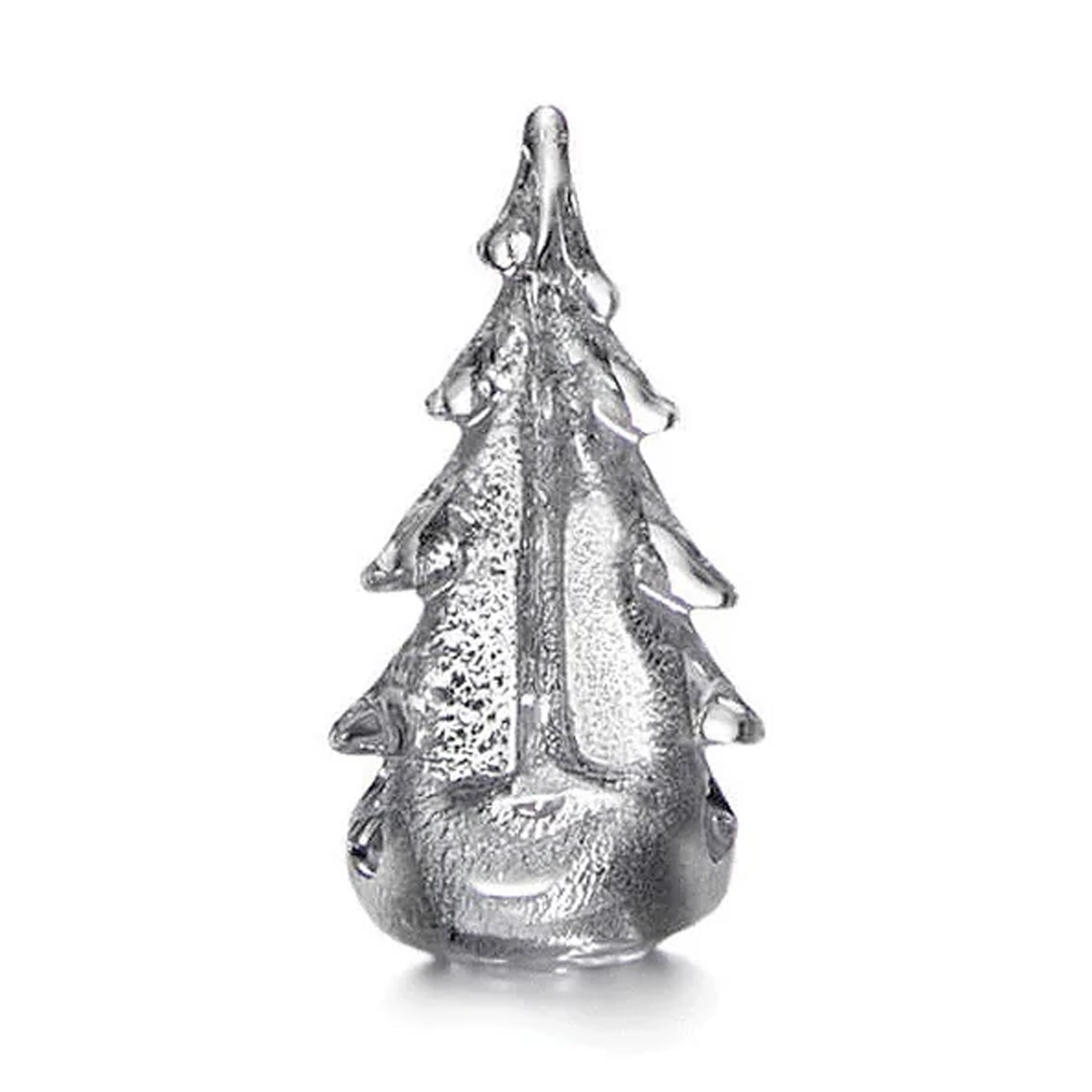 Silver Leaf Evergreen