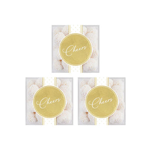 Cheers Champagne Bubbles 3PC Kit