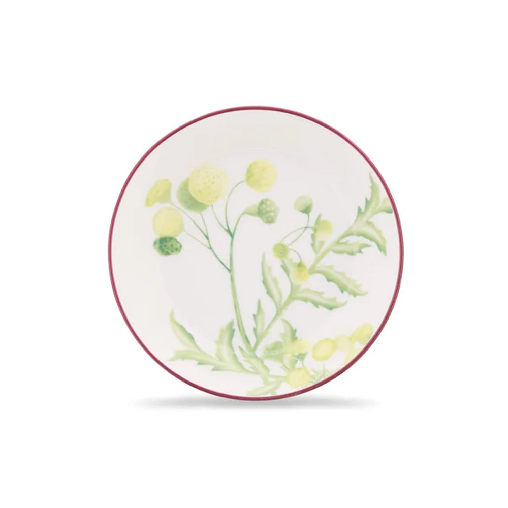 Top-down view of Florenza Acanto Impero tea saucer showcasing green and yellow acanthus floral motif and red rim on white background
