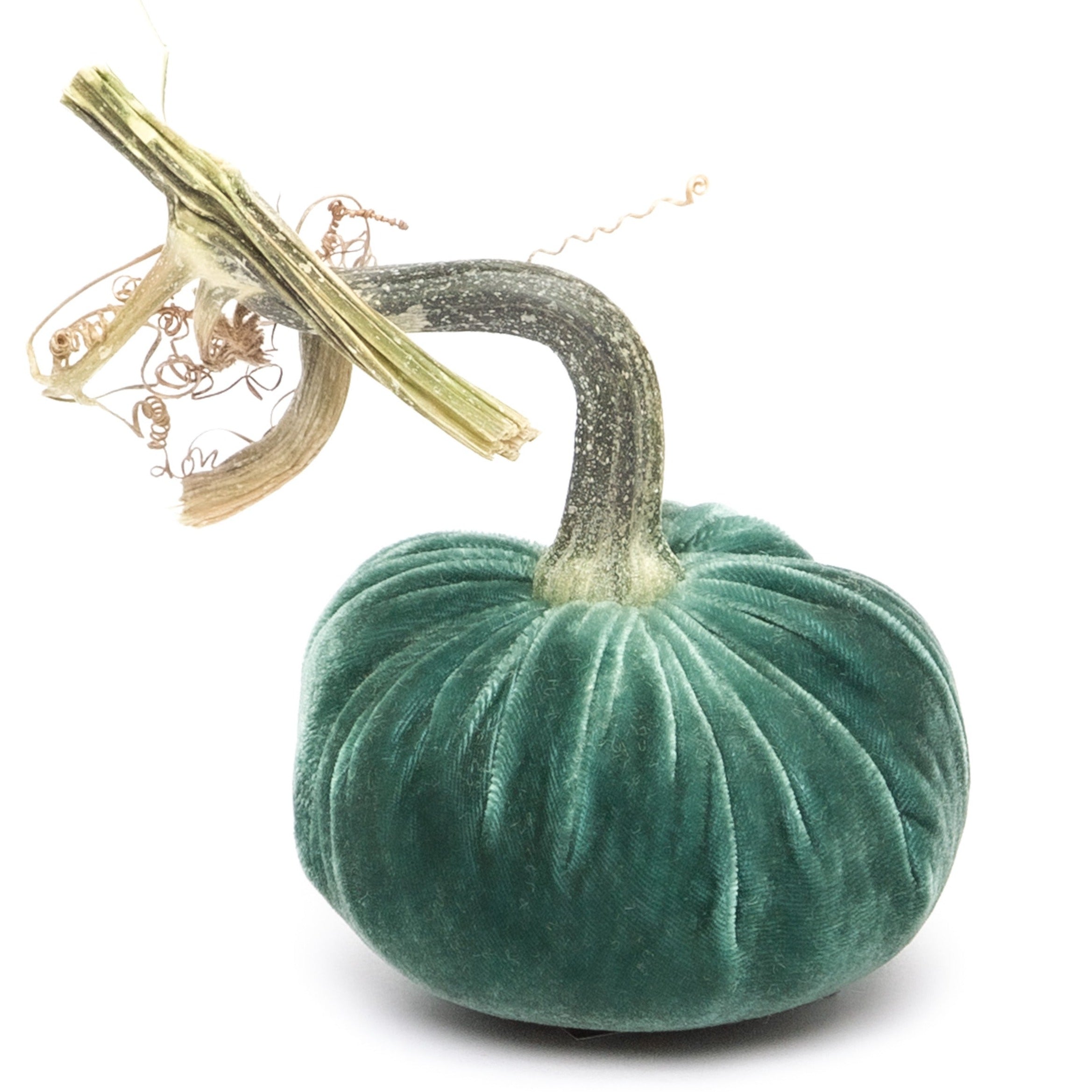 Ocean Silk Velvet Pumpkin