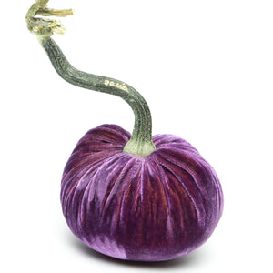 Orchid Silk Velvet Pumpkin