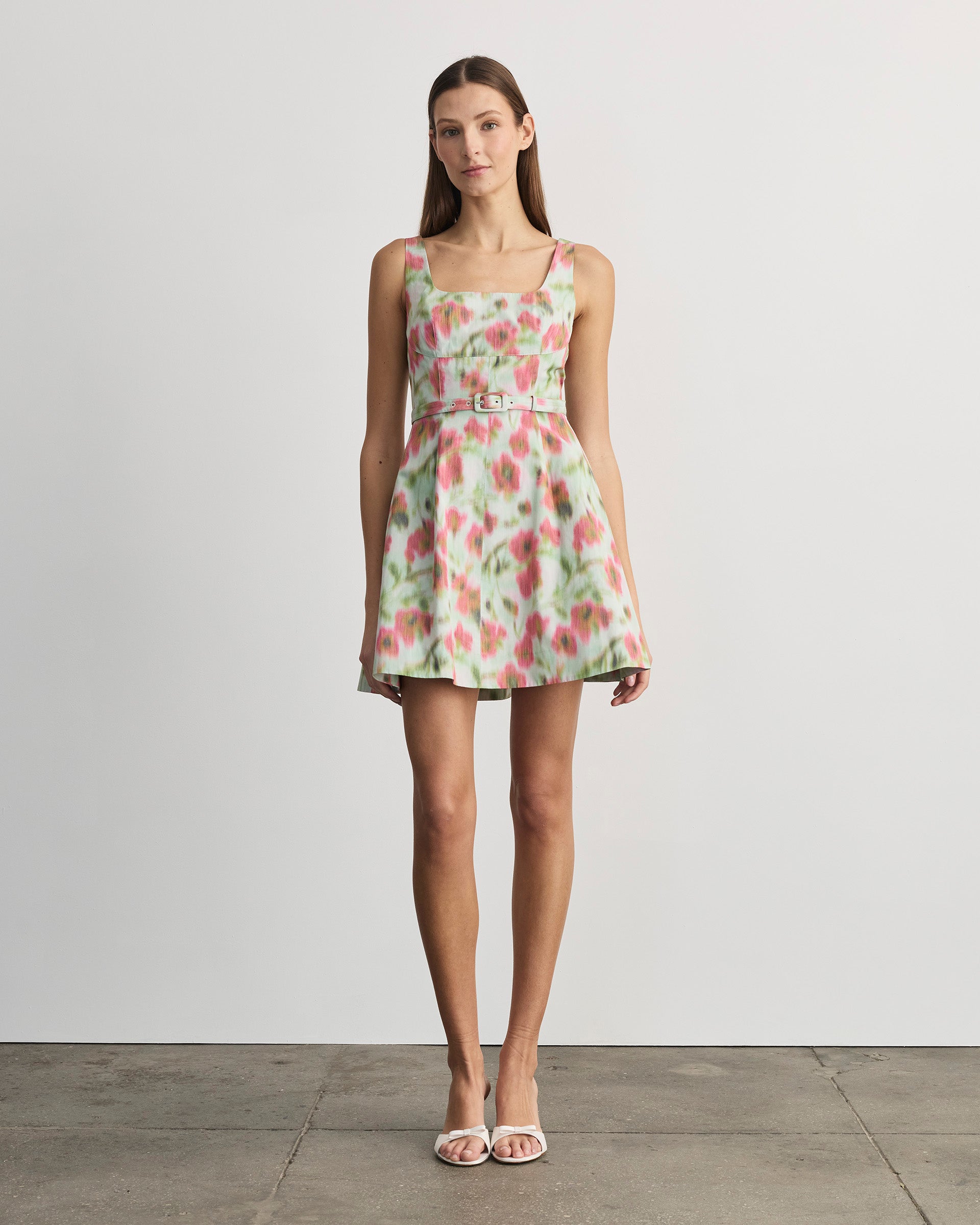 Paige Dress in Pistachio Multi