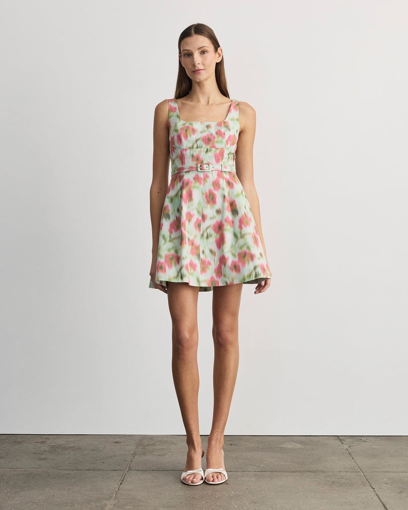 Paige Dress in Pistachio Multi