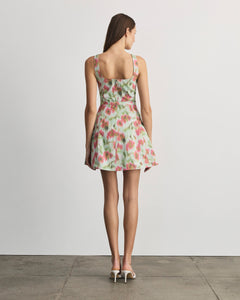 Paige Dress in Pistachio Multi