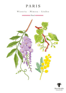 Paris Body & Hand Lotion and Hand Wash Gel Gift Box