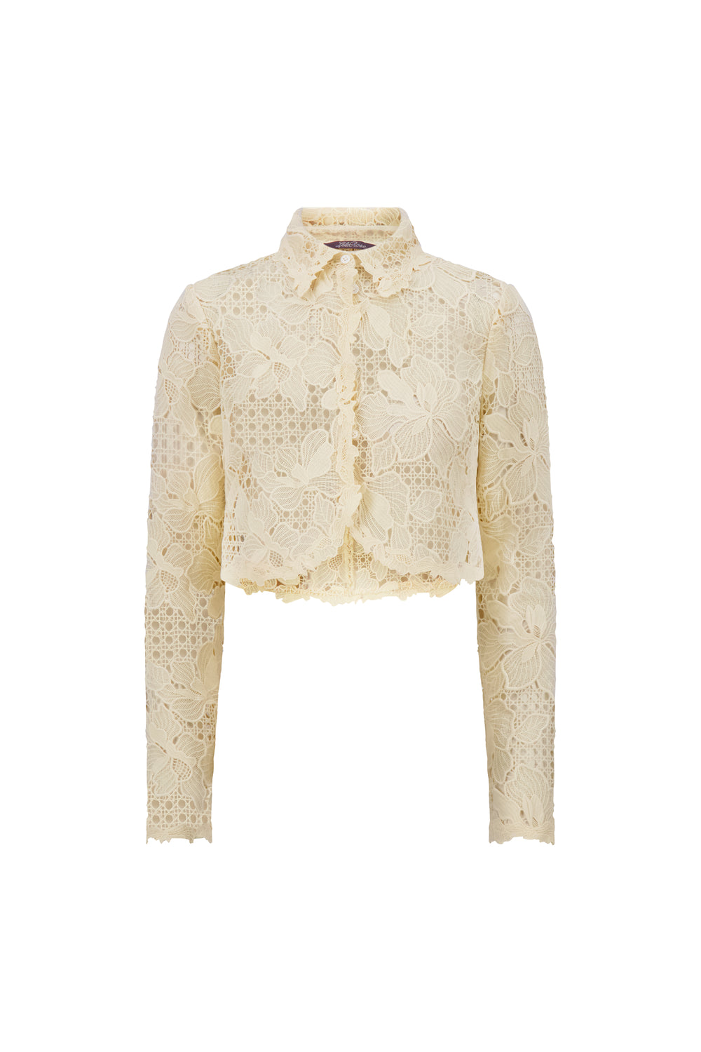 Lattice Guipure Lace Jacket in Cream