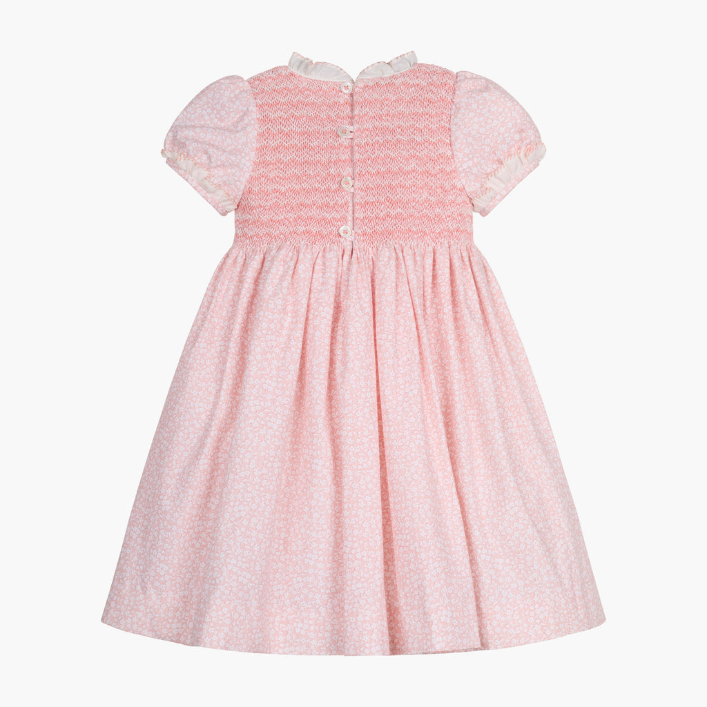 Clotilde Dress in Pink