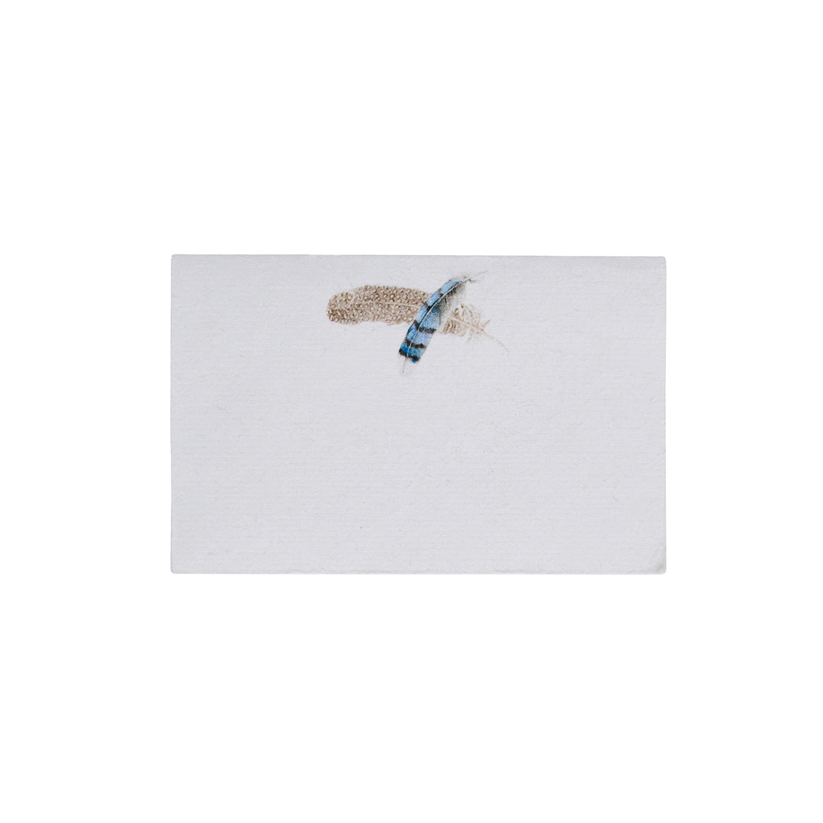 Forest Walk Place Card Assorted in Multi, Set of 12