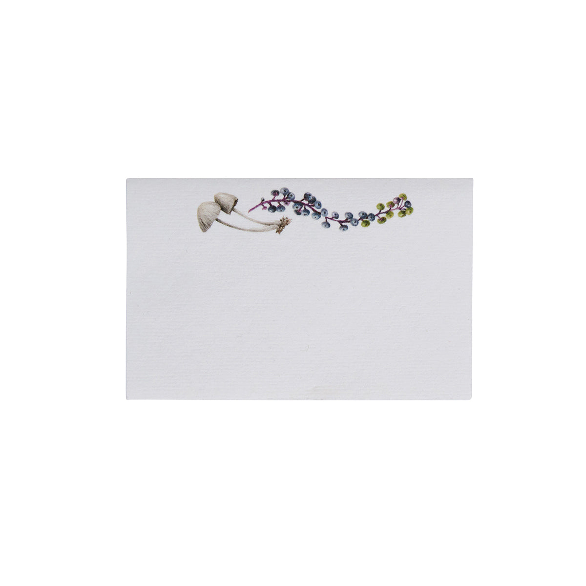 Forest Walk Place Card Assorted in Multi, Set of 12