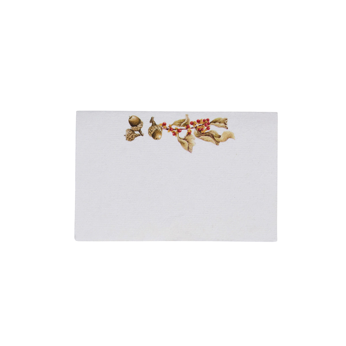 Forest Walk Place Card Assorted in Multi, Set of 12