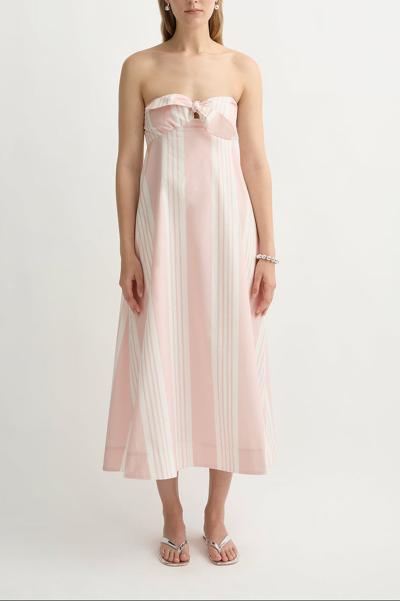 Rosie Strapless Dress in Pink Stripe