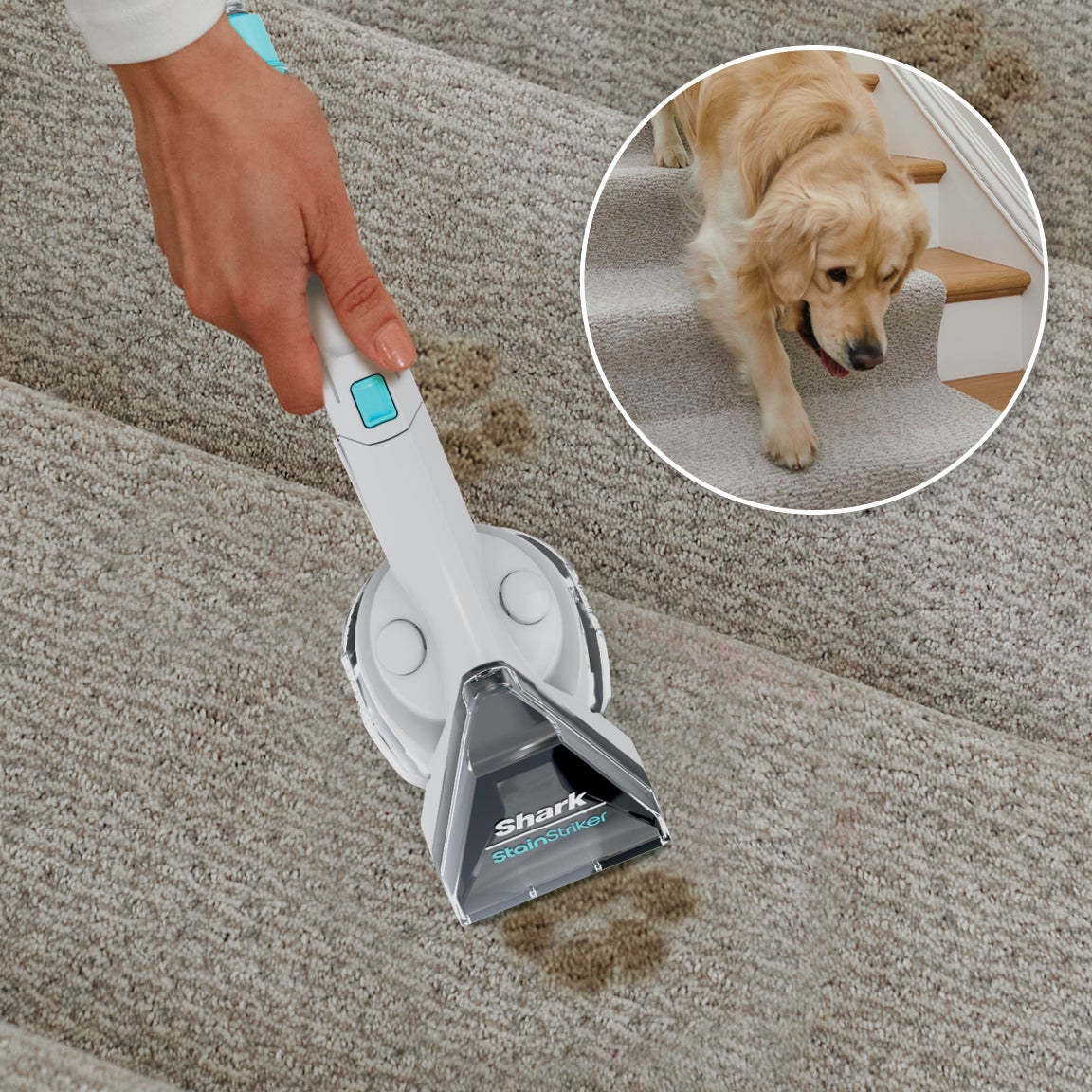 StainStriker Portable Carpet & Upholstery Cleaner