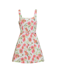 Paige Dress in Pistachio Multi