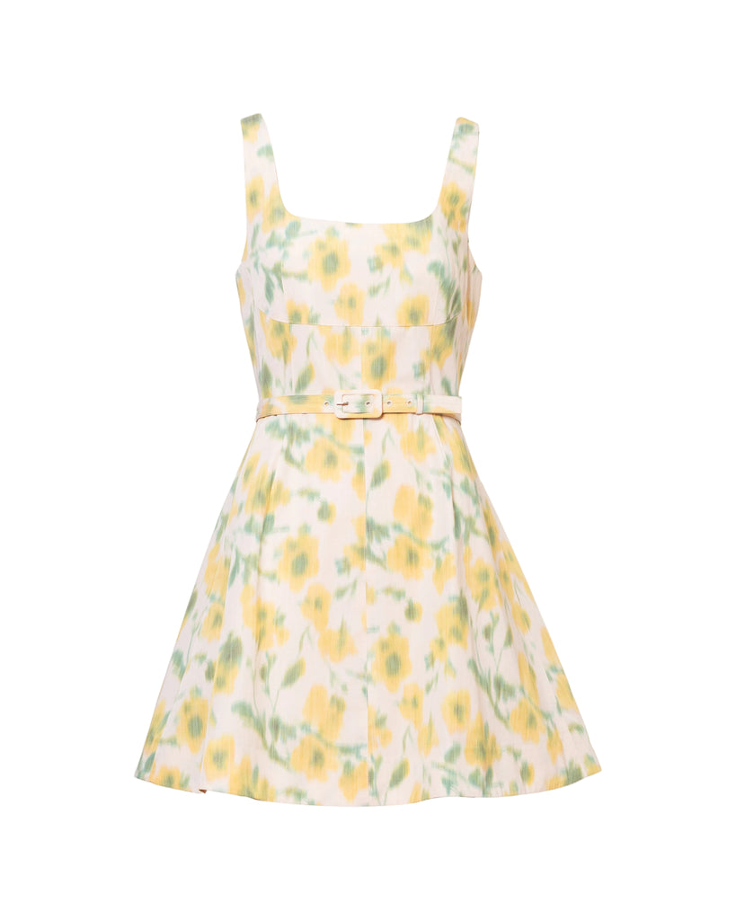 Paige Dress in Butter Multi