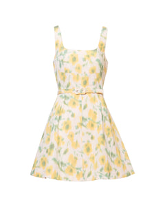 Paige Dress in Butter Multi