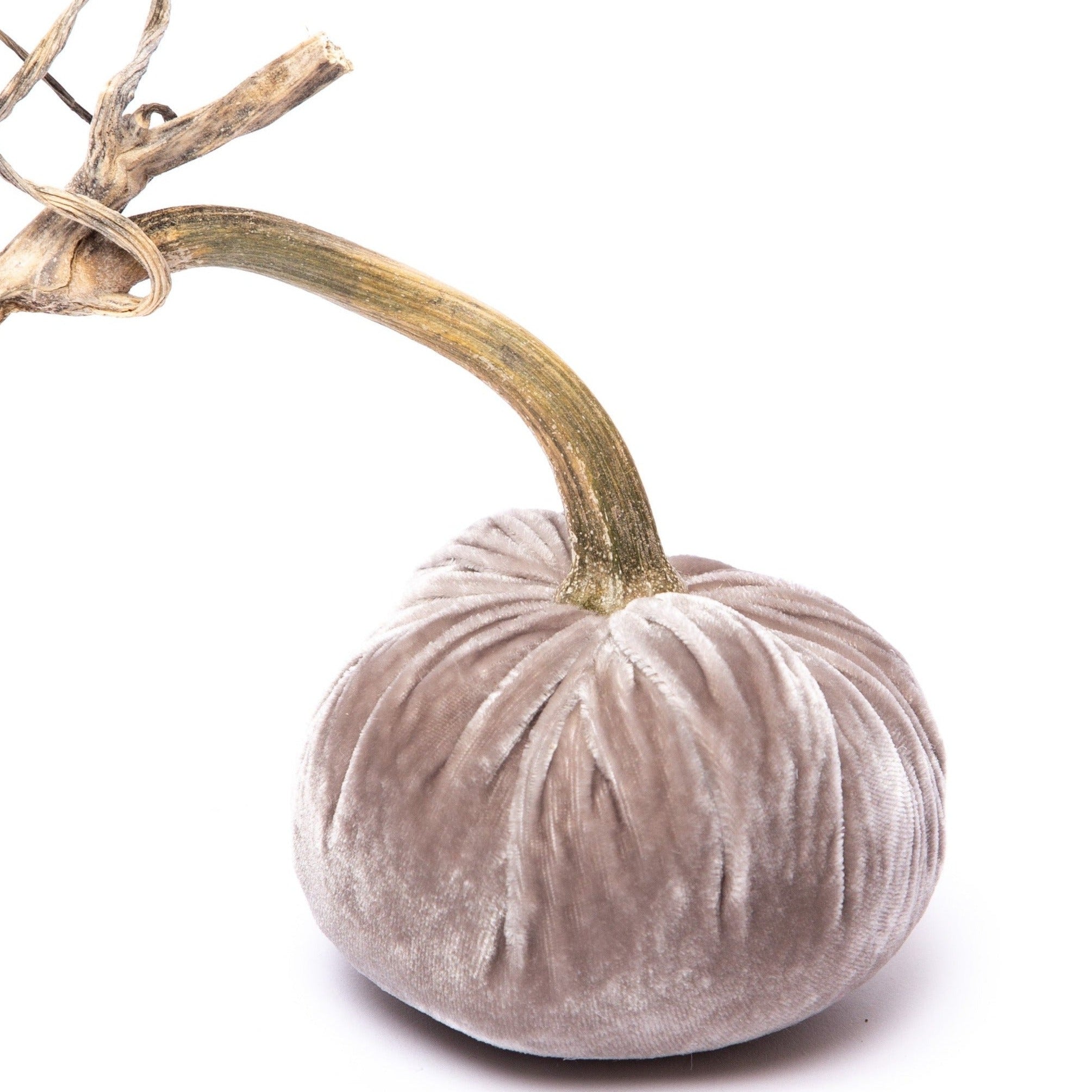 Putty Silk Velvet Pumpkin