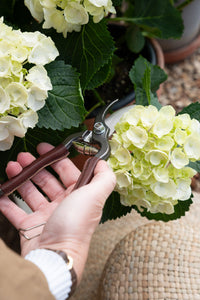 Le Potager du Roi French Sécateurs & Leather Sheath