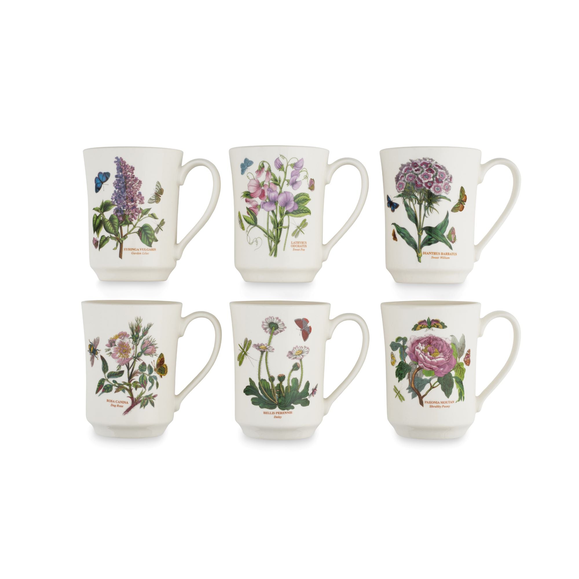 Botanic Garden Flared Tankard Mugs, Set of 6