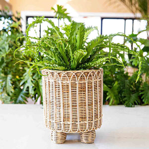 Provence Rattan 8" Round Planter in Whitewash