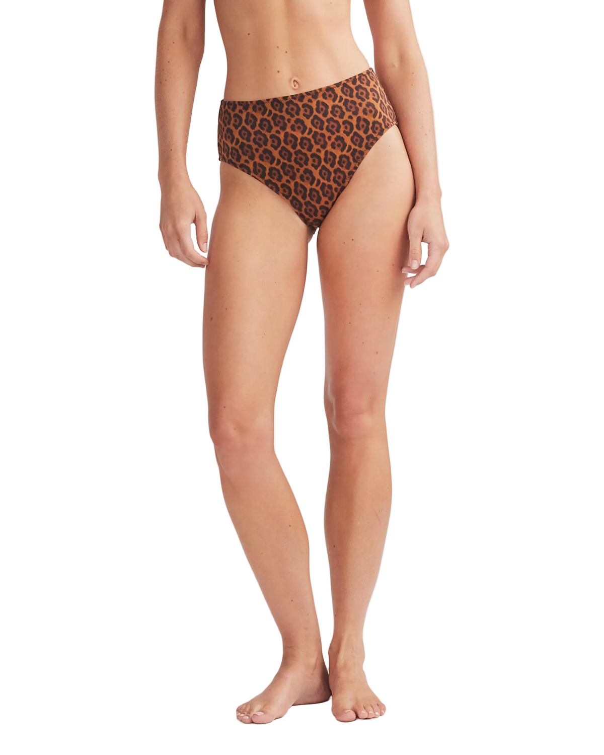 The Rose Bottom in Leopard