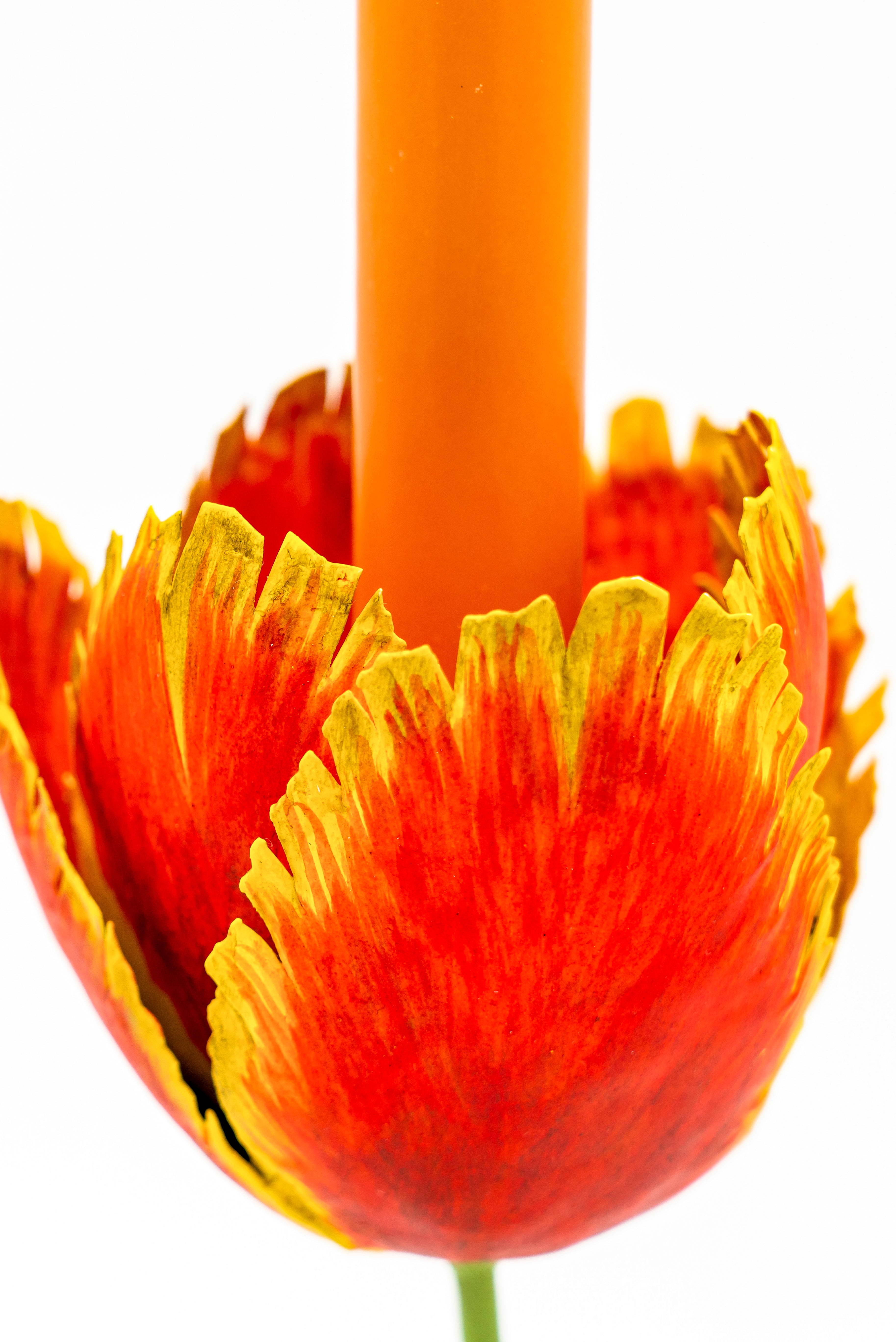 Inner Child Tulip Candleholders - Thumbnail 3