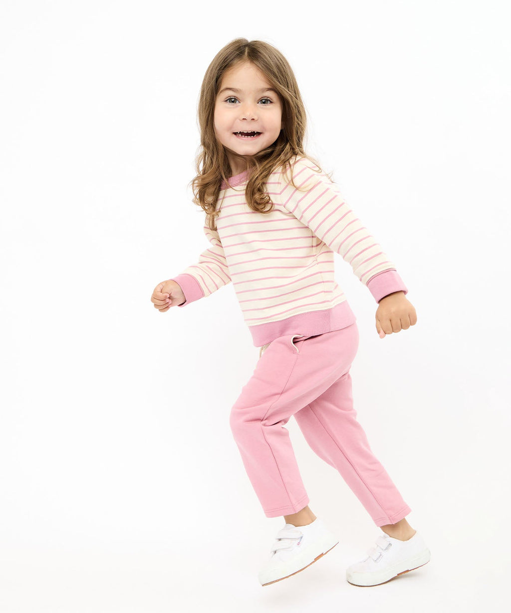 Remy Sweatshirt in Rose French Stripe