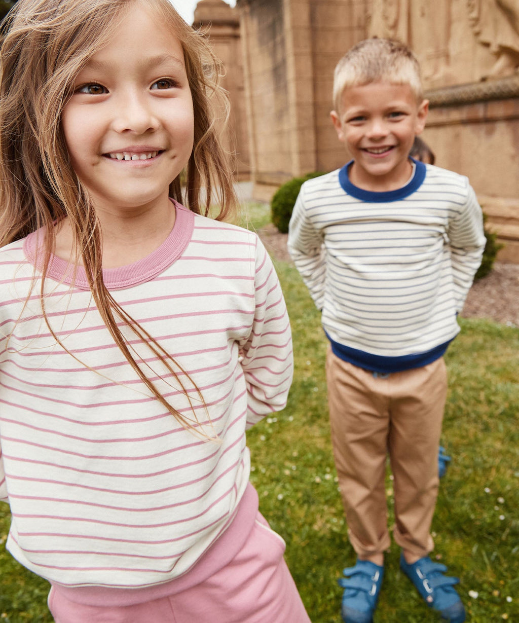 Remy Sweatshirt in Rose French Stripe