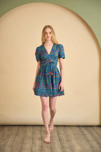 Roan Dress in Midnight Garden