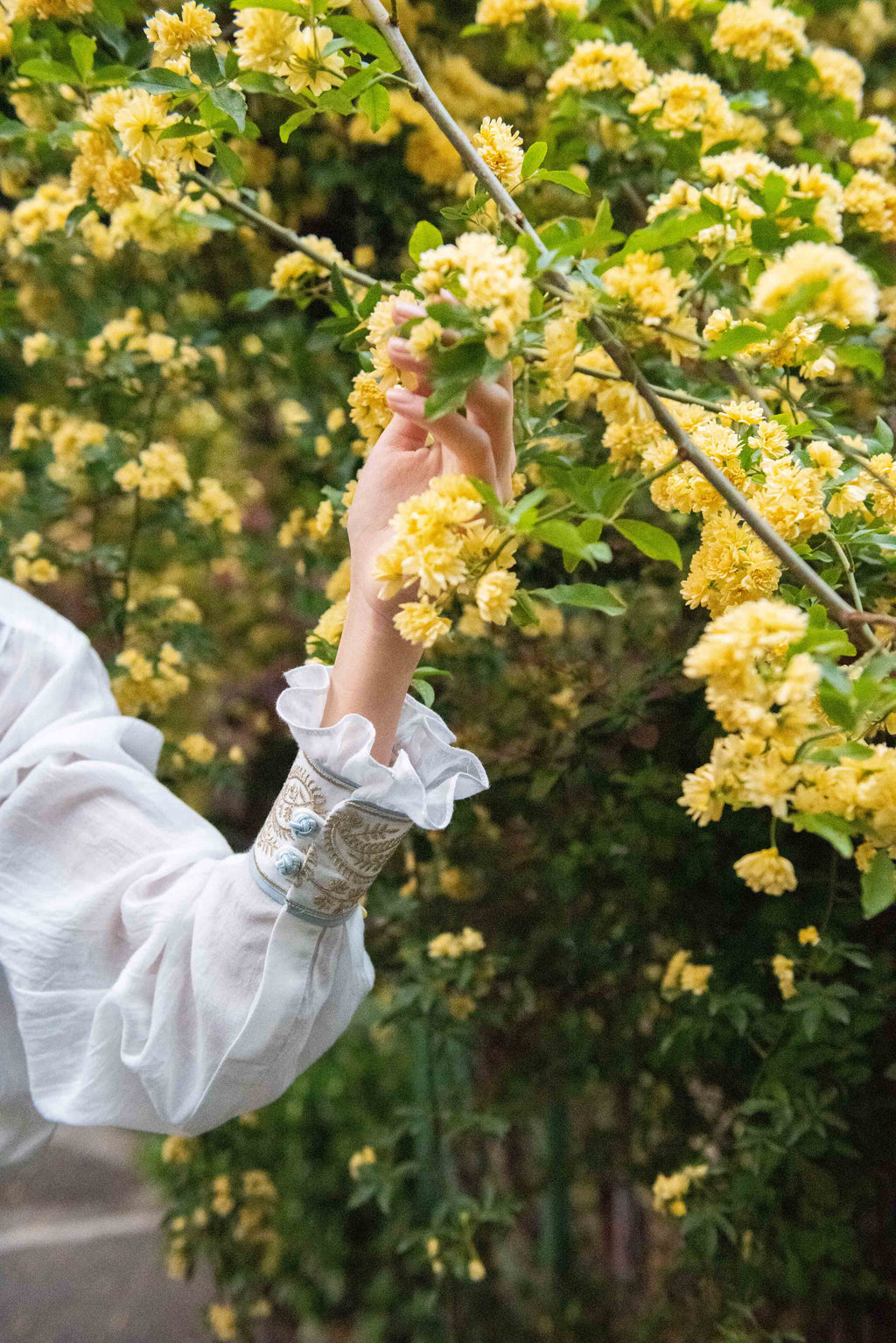 Cypress Blouse - White Rosewater House 