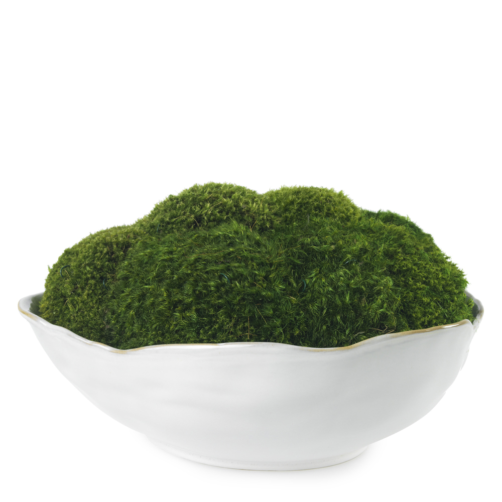 Front view of Mossy Mood faux moss arrangement showcasing dense green preserved moss in a white scalloped ceramic bowl on a white background