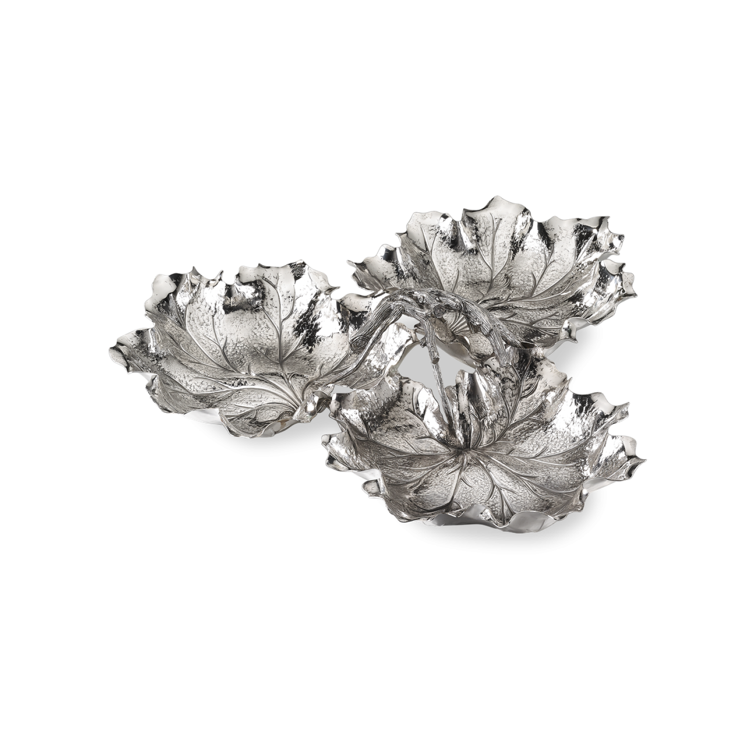 3 GERANIUM MEDIUM LEAVES CENTERPIECE