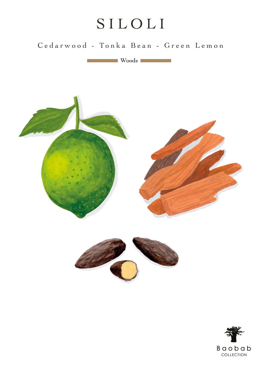 Candle Max 10 Sand Siloli