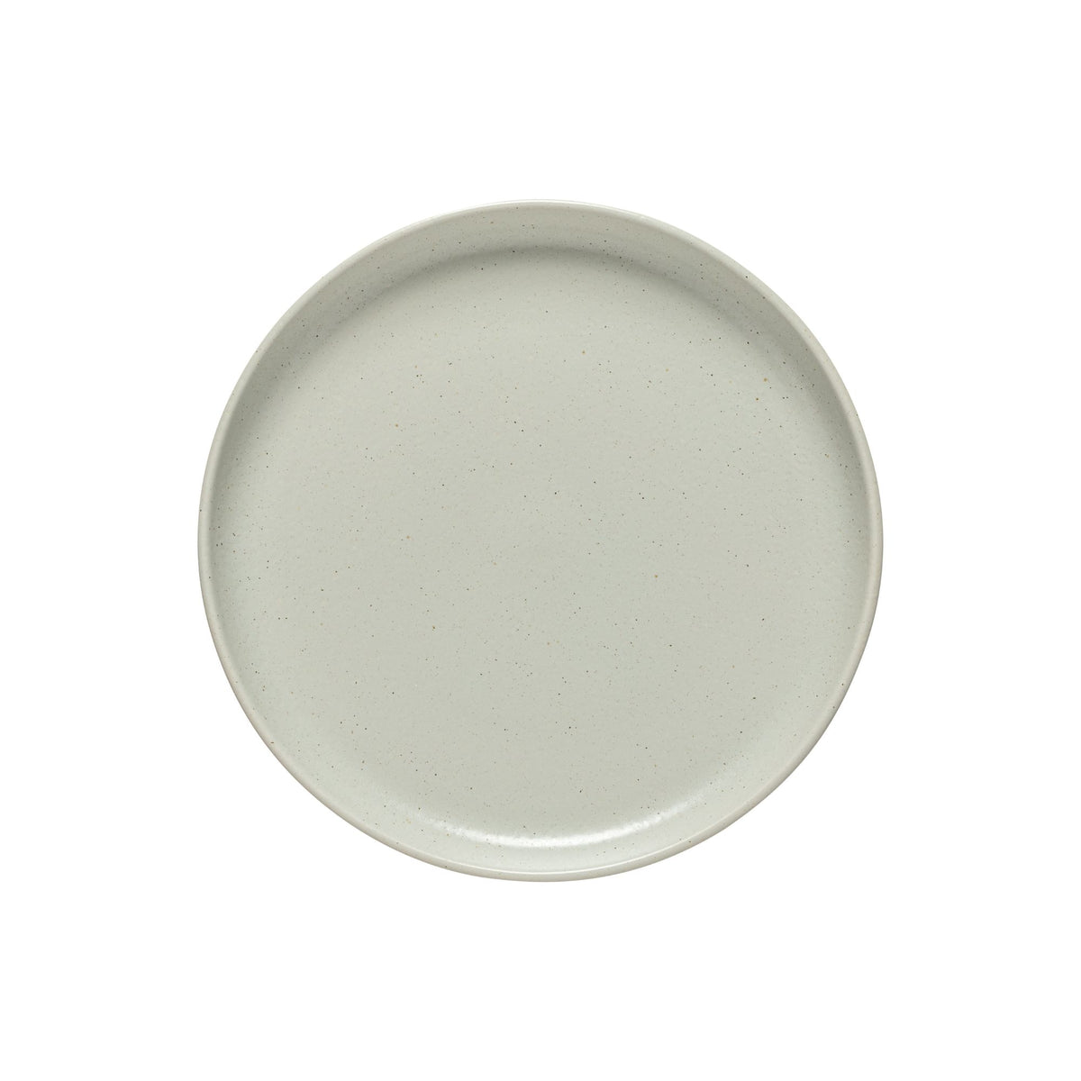 Pacifica Collection Dinner Plates in Oyster Grey, Set of 6
