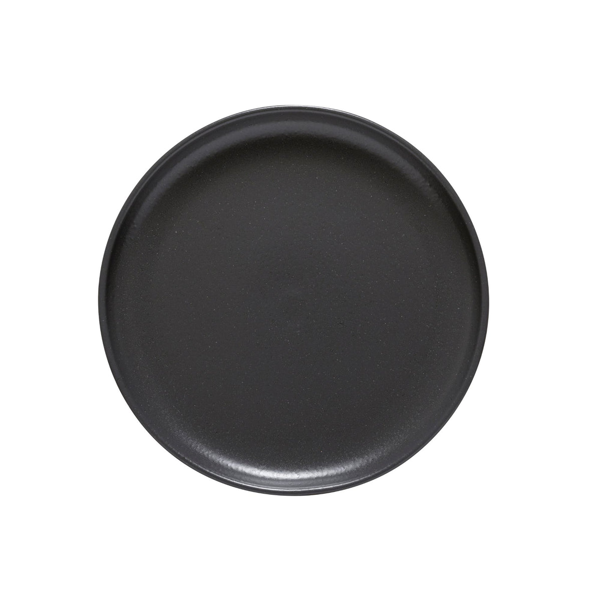 Pacifica Collection Dinner Plates in Seed Grey, Set of 6