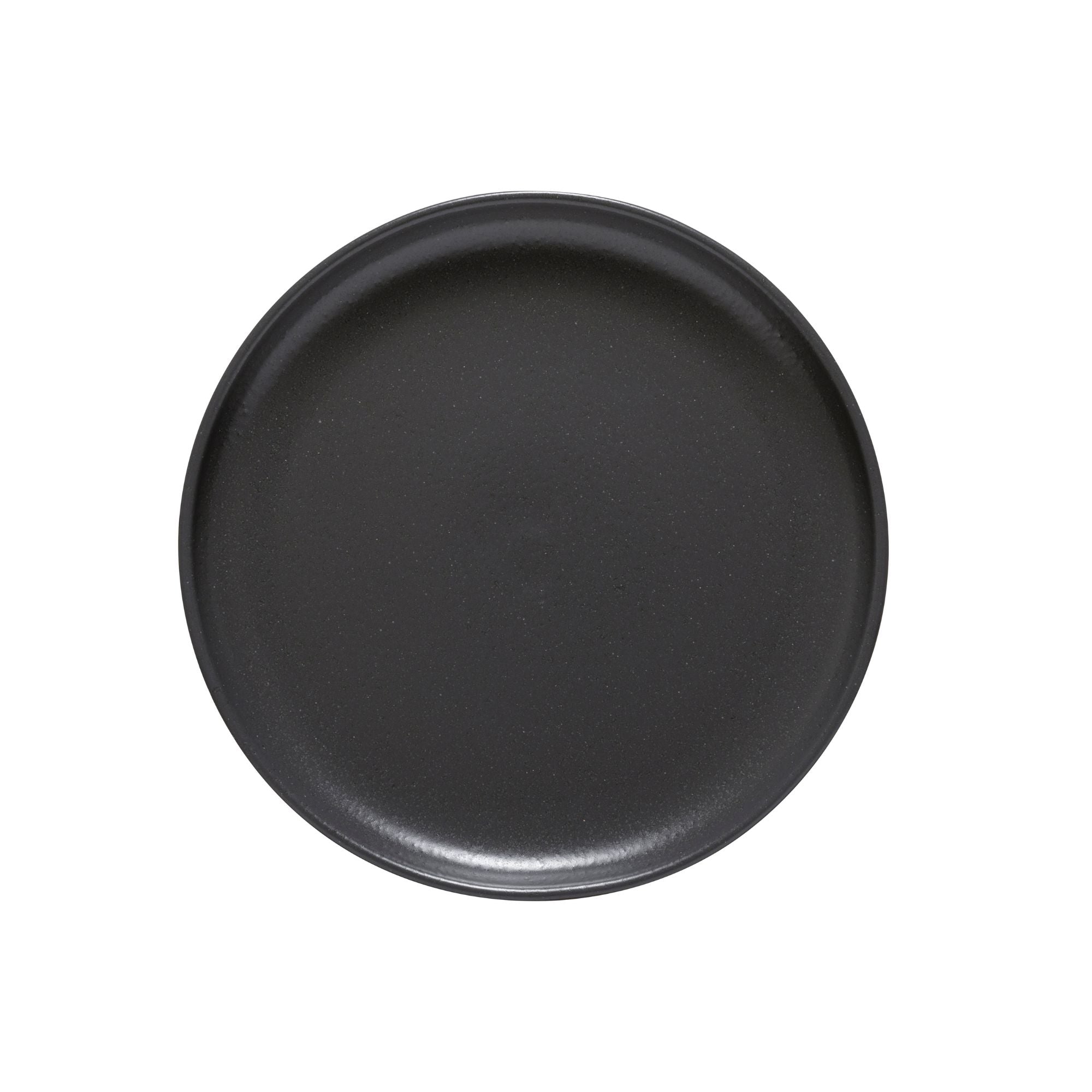 Pacifica Collection Dinner Plates in Seed Grey, Set of 6