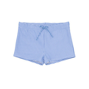 Boys Sky Blue Gingham Brief