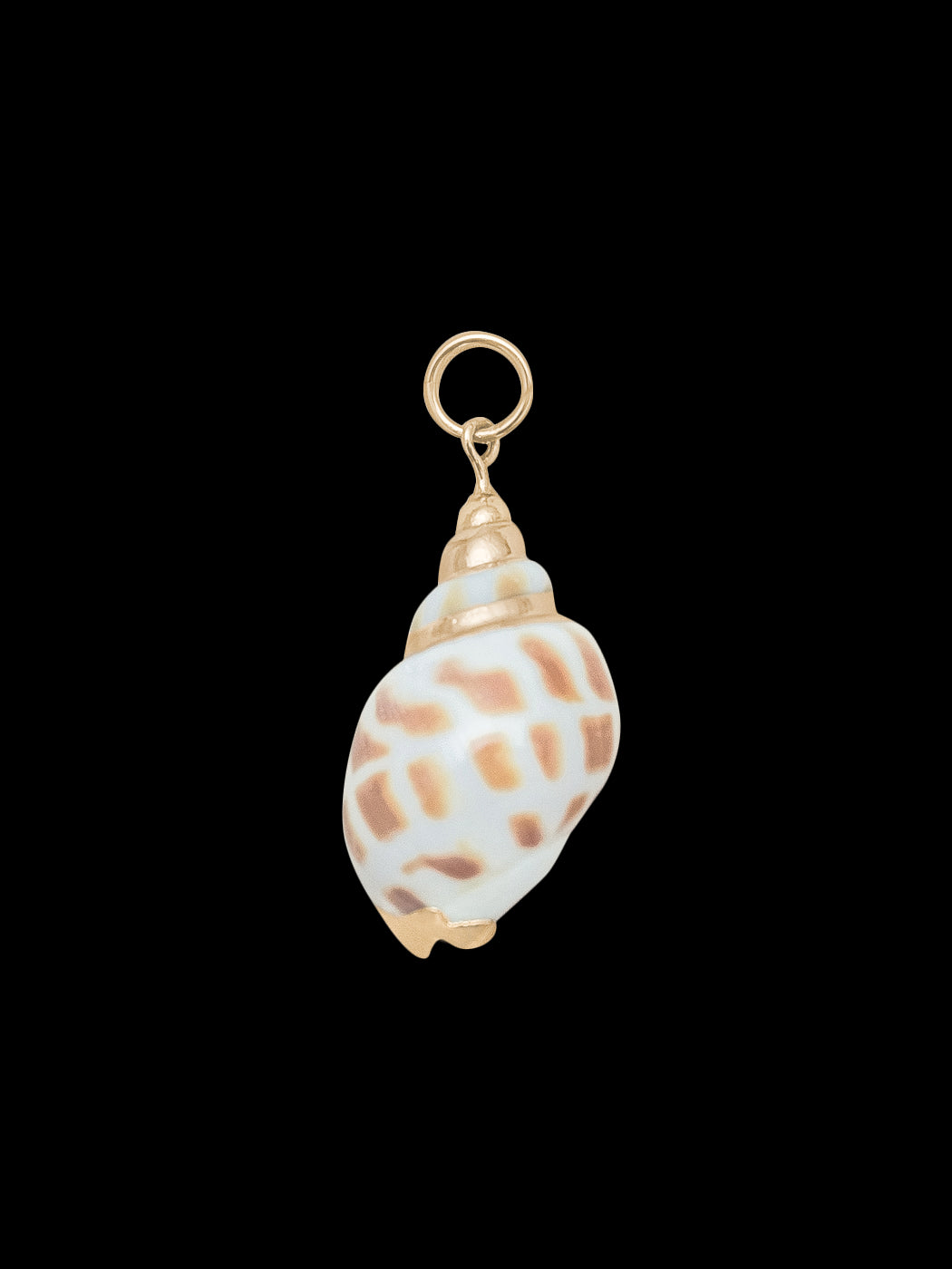 Speckle Shell Charm in Multi