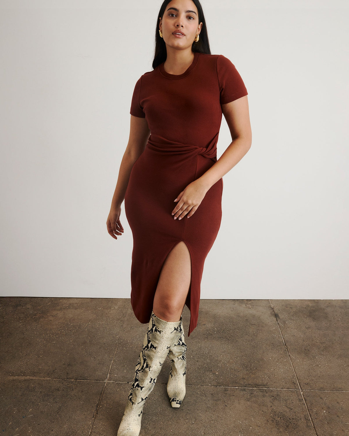 Short Sleeve Cody Dress in Raisin