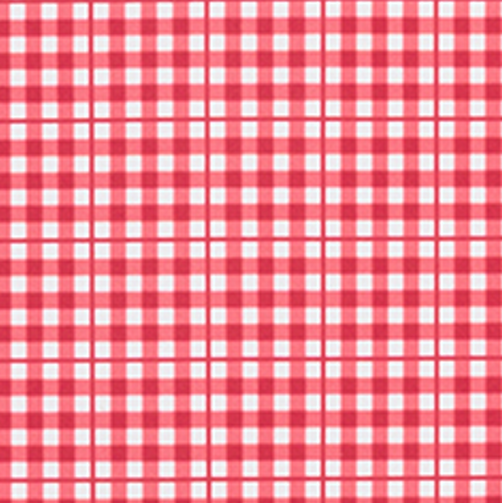 Women’s Poppy Gingham High Waist Bikini Bottom