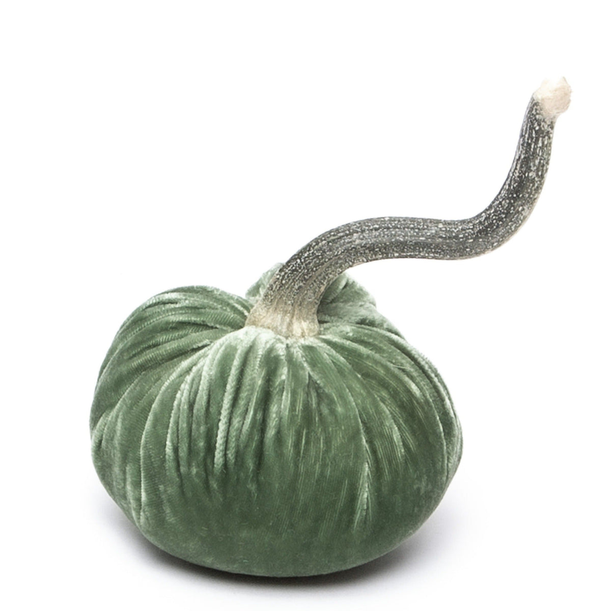 Sage Silk Velvet Pumpkin