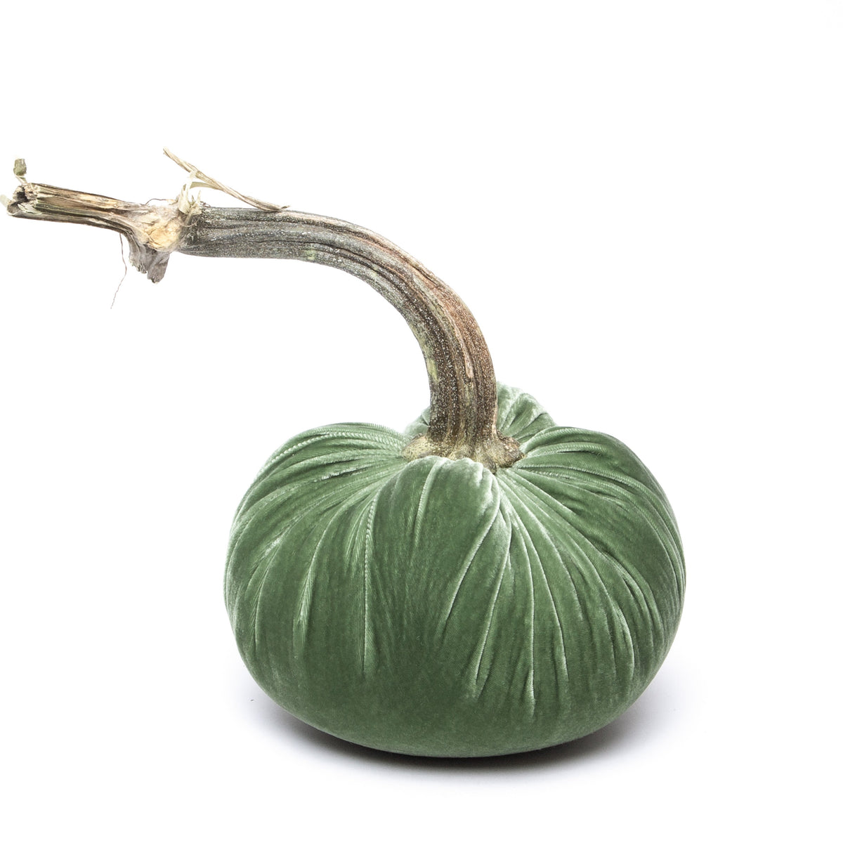 Sage Silk Velvet Pumpkin